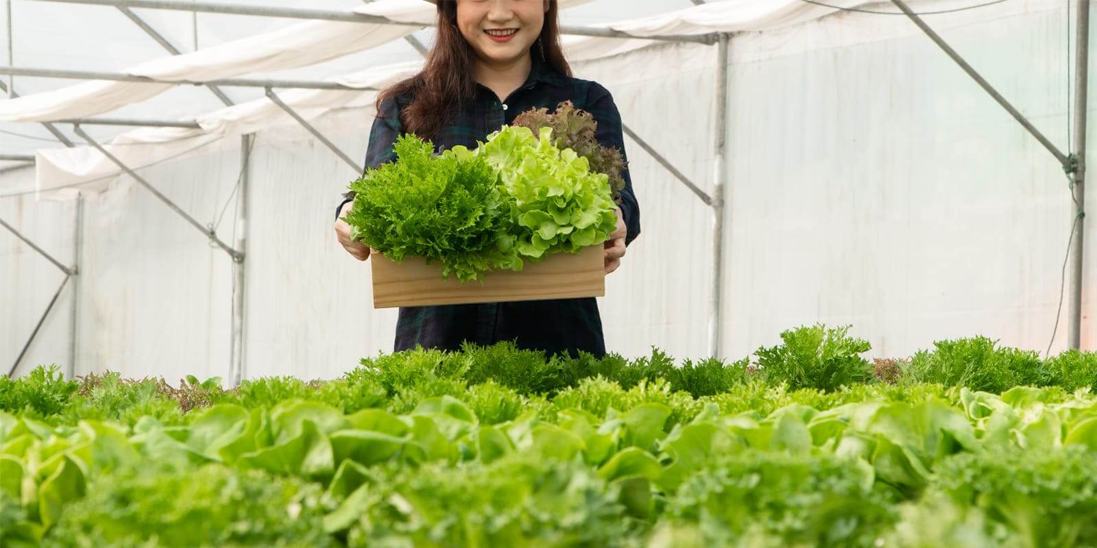 The Organic Power of Earthworms